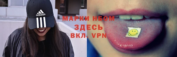 соль ск Алексин