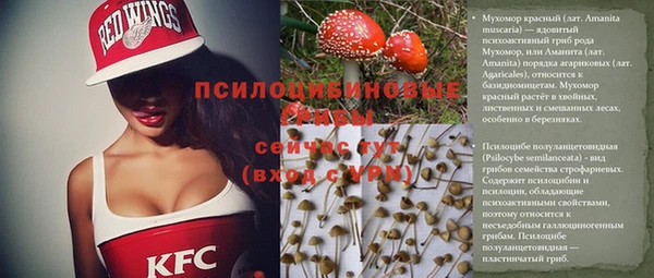 соль ск Алексин